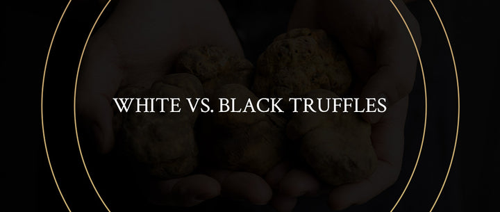 Black Truffle Oil vs White: Decadent Flavor Oils