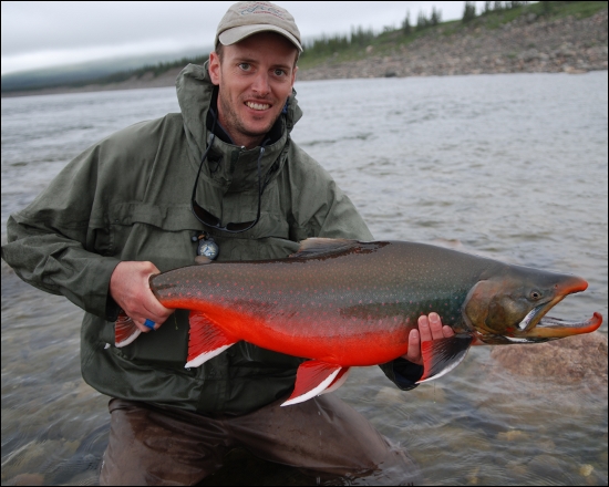 What Is Arctic Char? Discovering Coldwater Fish