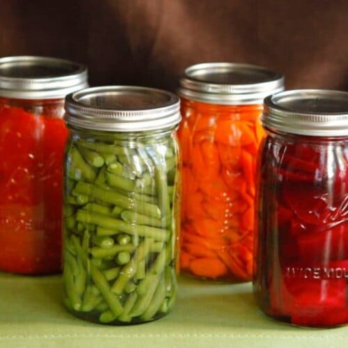 Water Bath Canning vs Pressure Canning: Preserving Methods Explored