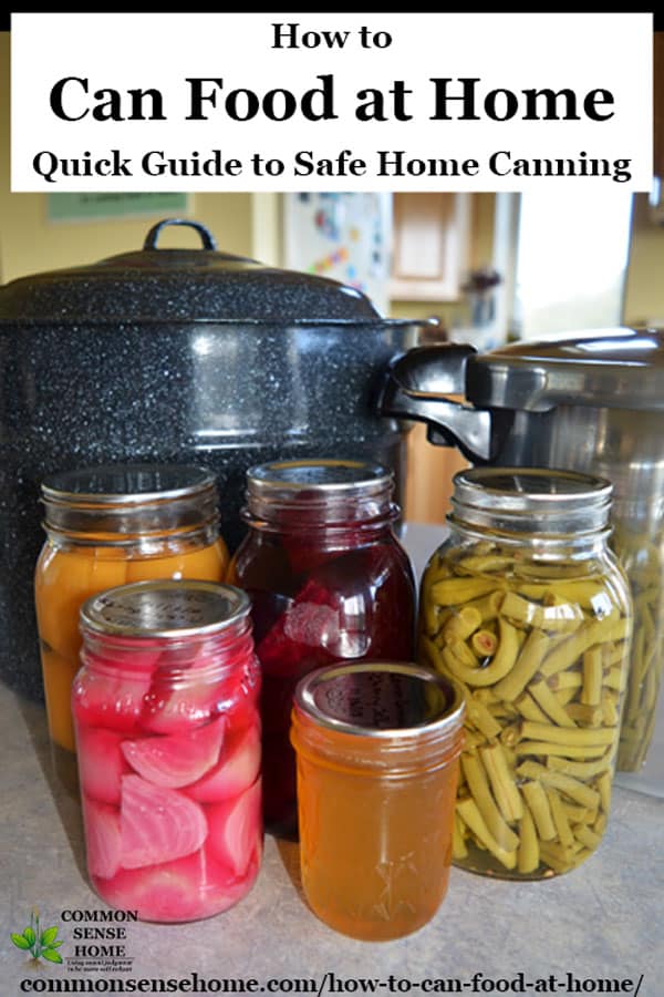 Water Bath Canning vs Pressure Canning: Preserving Methods Explored