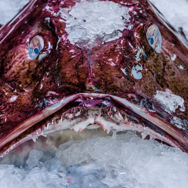 What Does Monkfish Taste Like? Exploring Seafood Flavor