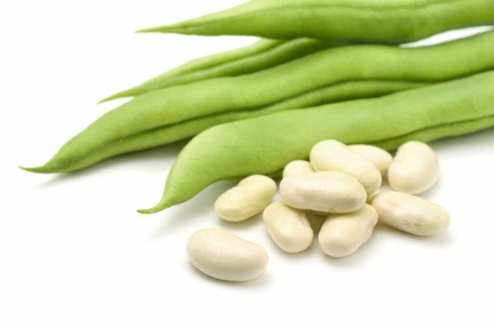 Lima Beans vs Fava Beans: Contrasting Legumes