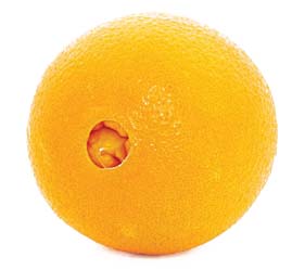 Valencia Oranges vs Navel Oranges: Citrus Showdown