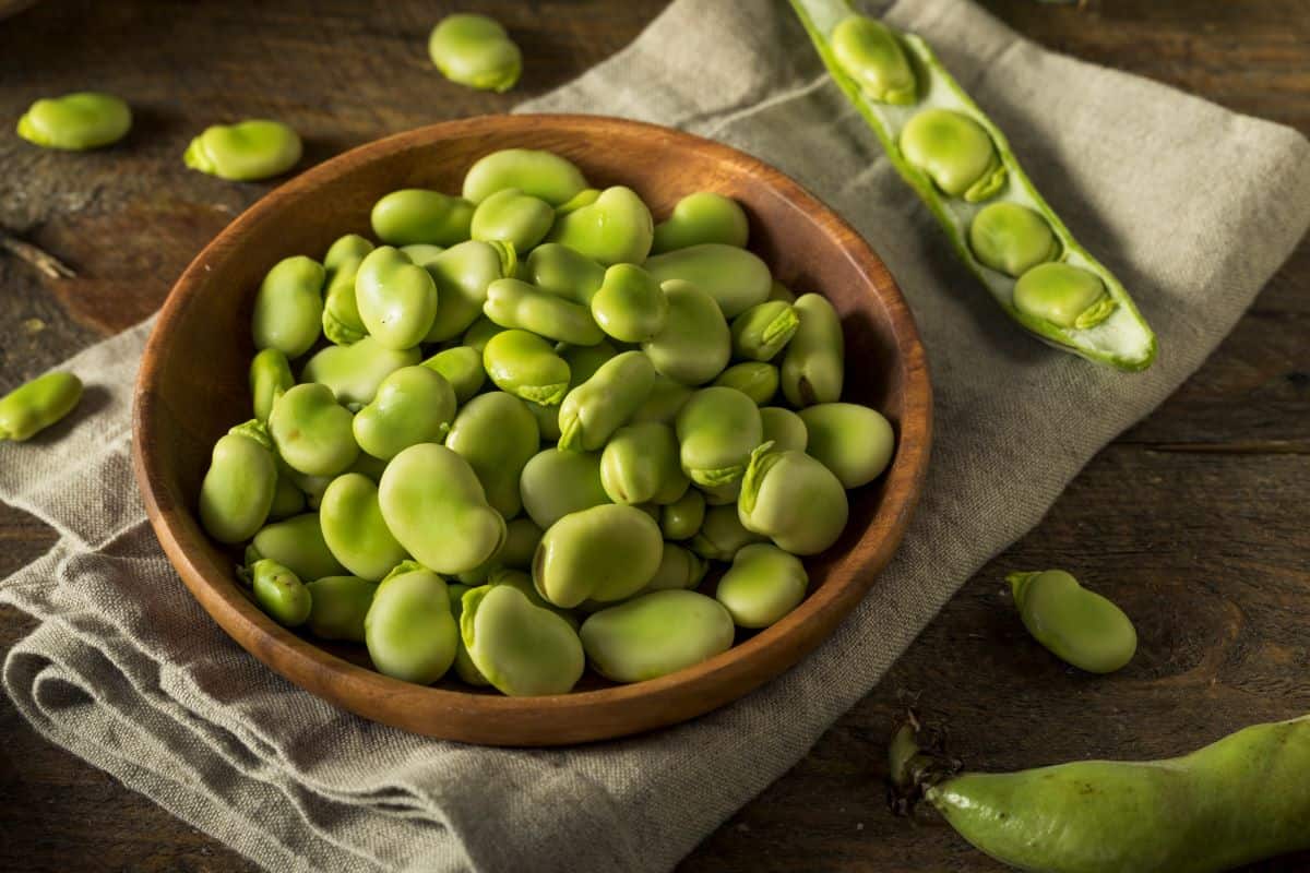 Lima Beans vs Fava Beans: Contrasting Legumes