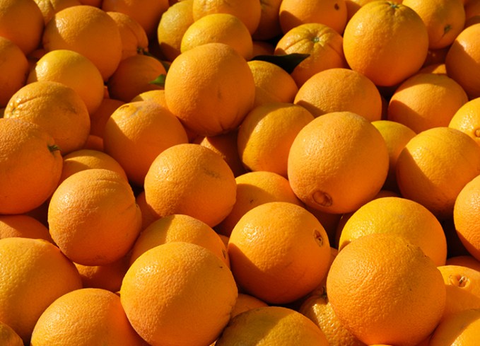 Valencia Oranges vs Navel Oranges: Citrus Showdown